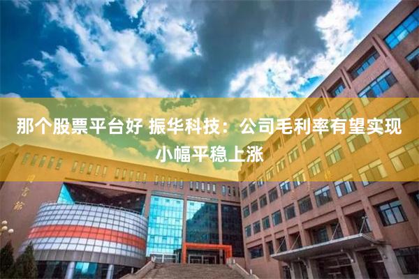 那个股票平台好 振华科技：公司毛利率有望实现小幅平稳上涨