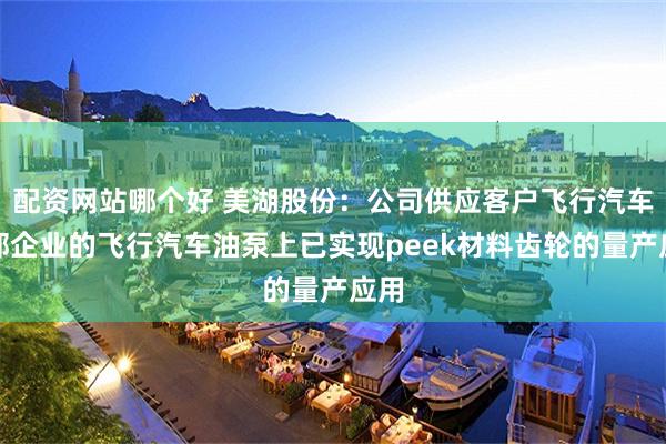 配资网站哪个好 美湖股份：公司供应客户飞行汽车头部企业的飞行汽车油泵上已实现peek材料齿轮的量产应用