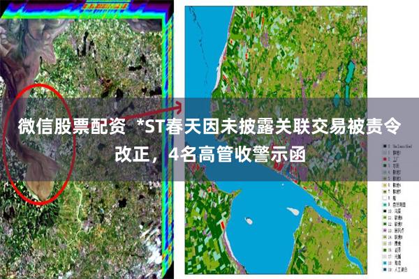 微信股票配资  *ST春天因未披露关联交易被责令改正，4名高管收警示函