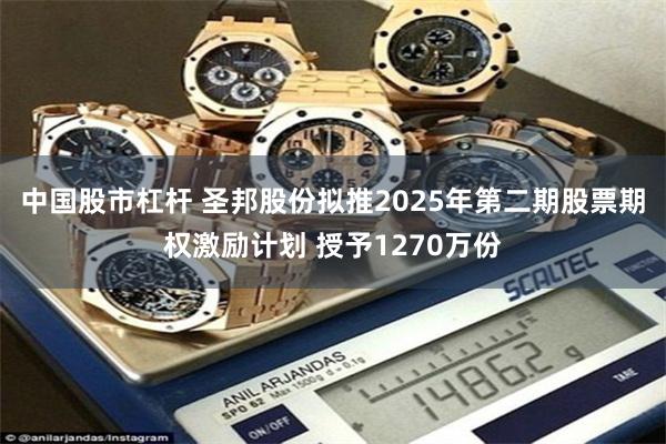中国股市杠杆 圣邦股份拟推2025年第二期股票期权激励计划 授予1270万份