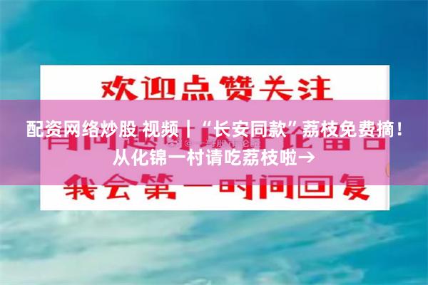 配资网络炒股 视频｜“长安同款”荔枝免费摘！从化锦一村请吃荔枝啦→