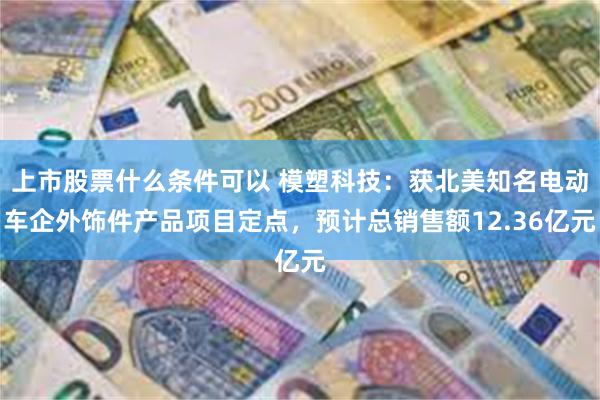 上市股票什么条件可以 模塑科技:获北美知名电动车企外饰件产品项目定点,预计总销售额12.36亿元