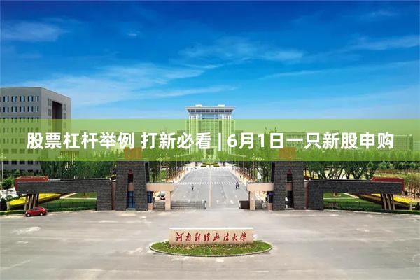 股票杠杆举例 打新必看 | 6月1日一只新股申购