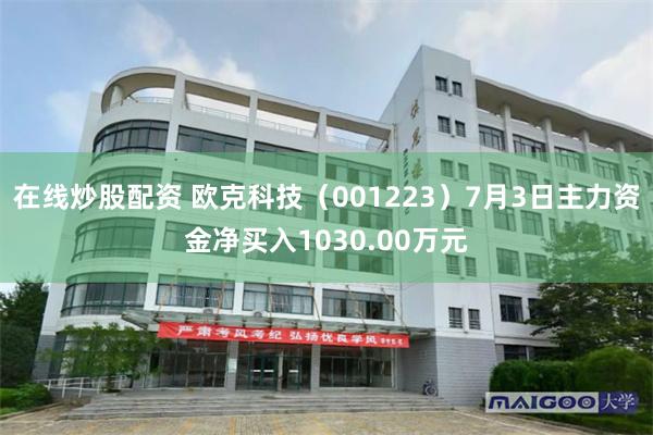 在线炒股配资 欧克科技（001223）7月3日主力资金净买入1030.00万元