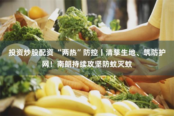 投资炒股配资 “两热”防控丨清孳生地、筑防护网!南朗持续攻坚防蚊灭蚊