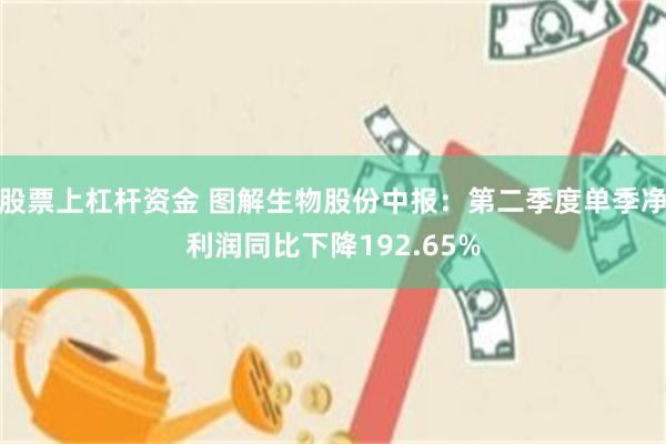 股票上杠杆资金 图解生物股份中报：第二季度单季净利润同比下降192.65%