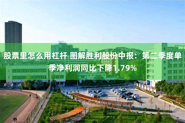 股票里怎么用杠杆 图解胜利股份中报：第二季度单季净利润同比下降1.79%