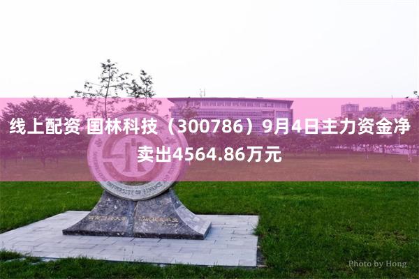 线上配资 国林科技（300786）9月4日主力资金净卖出4564.86万元