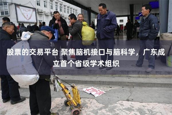 股票的交易平台 聚焦脑机接口与脑科学，广东成立首个省级学术组织