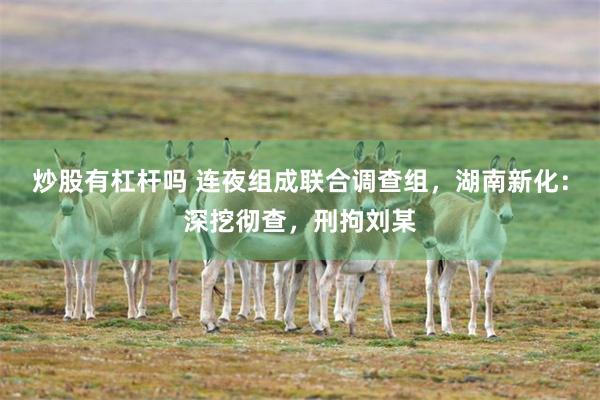 炒股有杠杆吗 连夜组成联合调查组，湖南新化：深挖彻查，刑拘刘某
