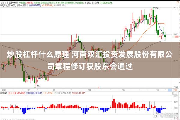 炒股杠杆什么原理 河南双汇投资发展股份有限公司章程修订获股东会通过
