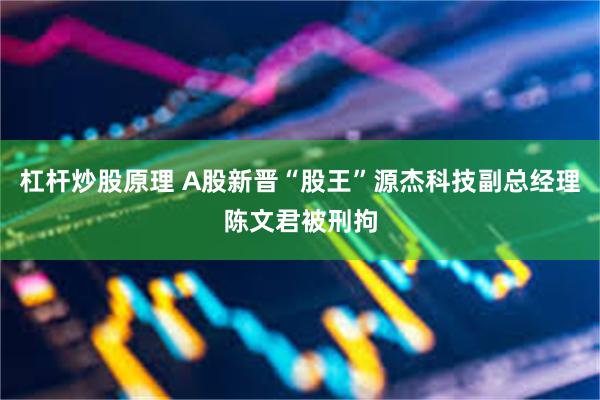 杠杆炒股原理 A股新晋“股王”源杰科技副总经理陈文君被刑拘
