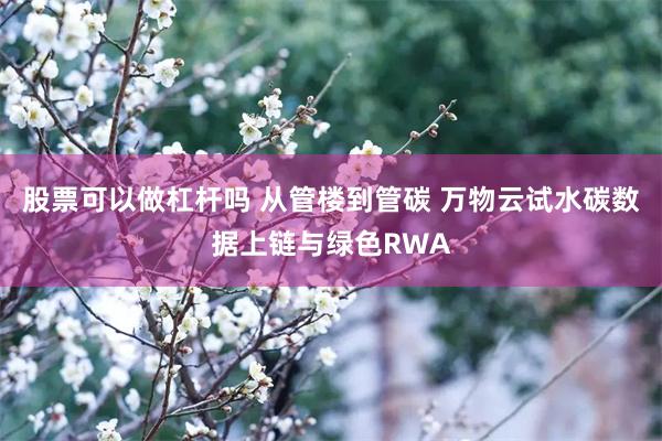 股票可以做杠杆吗 从管楼到管碳 万物云试水碳数据上链与绿色RWA