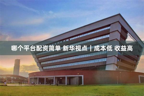 哪个平台配资简单 新华视点|成本低 收益高