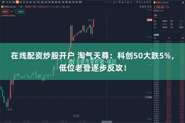 在线配资炒股开户 淘气天尊:科创50大跌5%,低位老登逐步反攻!