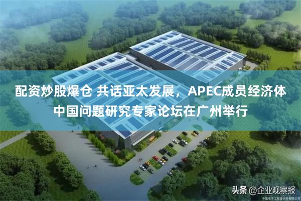 配资炒股爆仓 共话亚太发展,APEC成员经济体中国问题研究专家论坛在广州举行