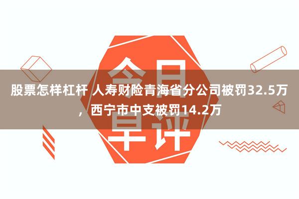 股票怎样杠杆 人寿财险青海省分公司被罚32.5万,西宁市中支被罚14.2万