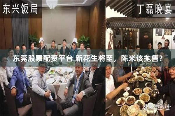 东莞股票配资平台 新花生将至，陈米该抛售？