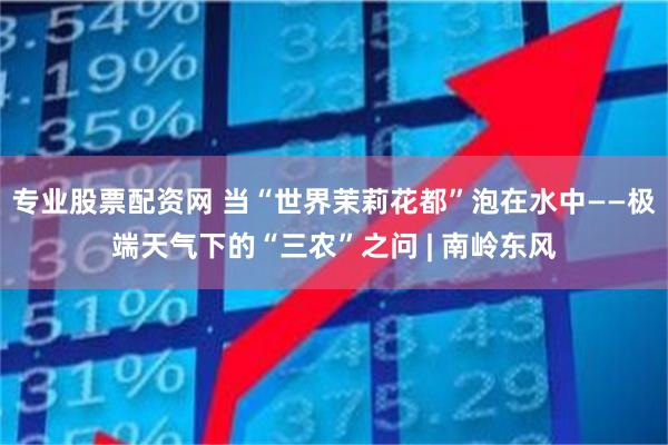 专业股票配资网 当“世界茉莉花都”泡在水中——极端天气下的“三农”之问 | 南岭东风