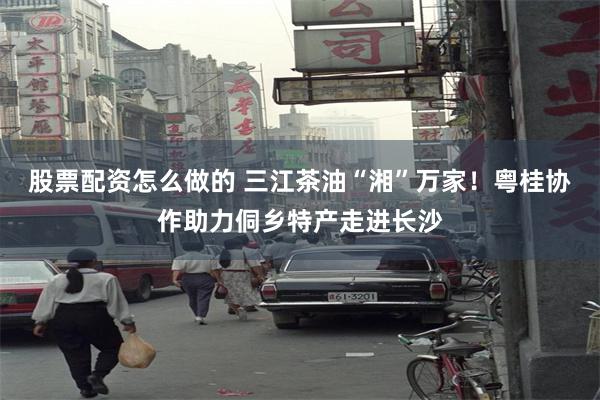 股票配资怎么做的 三江茶油“湘”万家!粤桂协作助力侗乡特产走进长沙