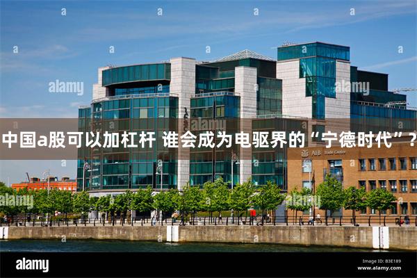 中国a股可以加杠杆 谁会成为电驱界的“宁德时代”？