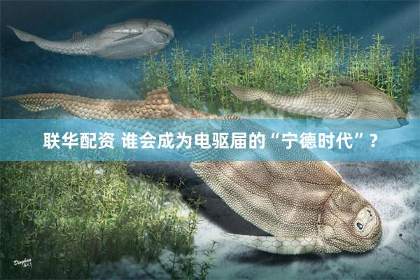 联华配资 谁会成为电驱届的“宁德时代”？