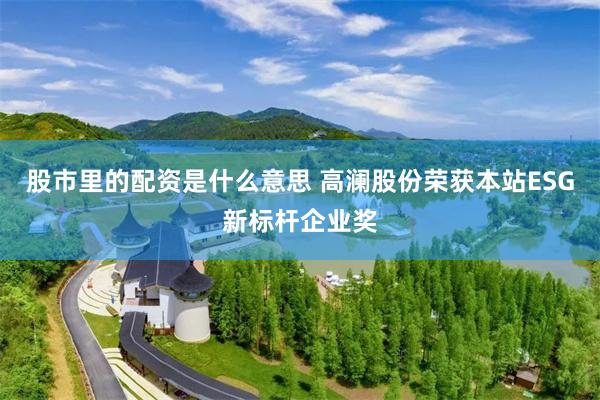 股市里的配资是什么意思 高澜股份荣获本站ESG新标杆企业奖