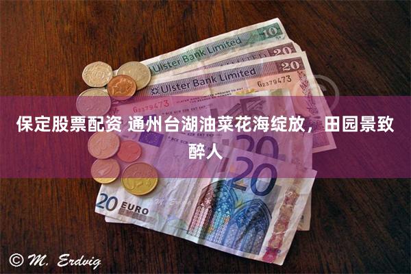 保定股票配资 通州台湖油菜花海绽放，田园景致醉人