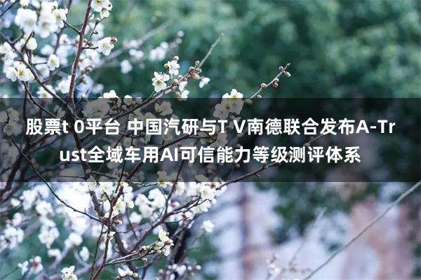 股票t 0平台 中国汽研与T V南德联合发布A-Trust全域车用AI可信能力等级测评体系