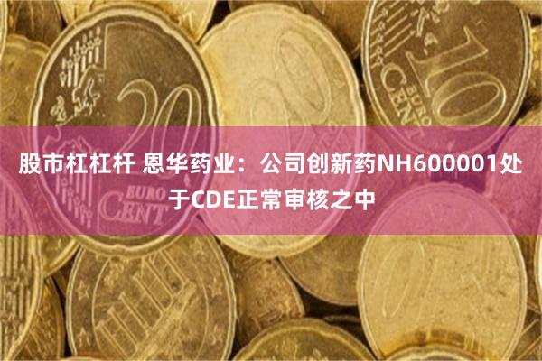 股市杠杠杆 恩华药业：公司创新药NH600001处于CDE正常审核之中