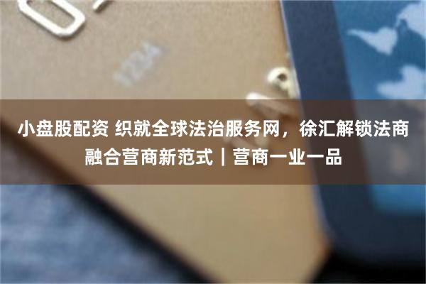 小盘股配资 织就全球法治服务网,徐汇解锁法商融合营商新范式|营商一业一品