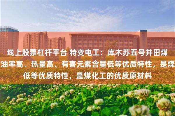 线上股票杠杆平台 特变电工:库木苏五号井田煤矿煤炭资源具有含油率高、热量高、有害元素含量低等优质特性,是煤化工的优质原材料