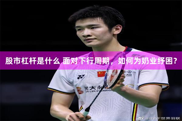 股市杠杆是什么 面对下行周期，如何为奶业纾困？