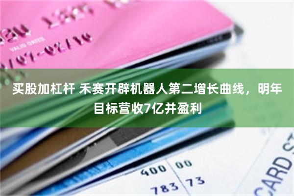 买股加杠杆 禾赛开辟机器人第二增长曲线，明年目标营收7亿并盈利