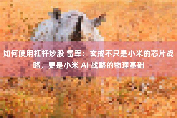 如何使用杠杆炒股 雷军：玄戒不只是小米的芯片战略，更是小米 AI 战略的物理基础