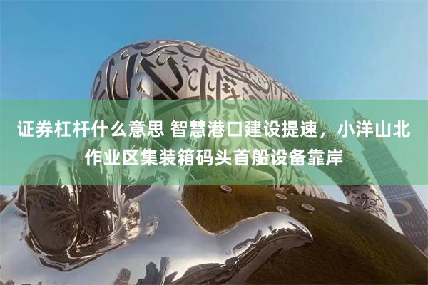 证券杠杆什么意思 智慧港口建设提速，小洋山北作业区集装箱码头首船设备靠岸
