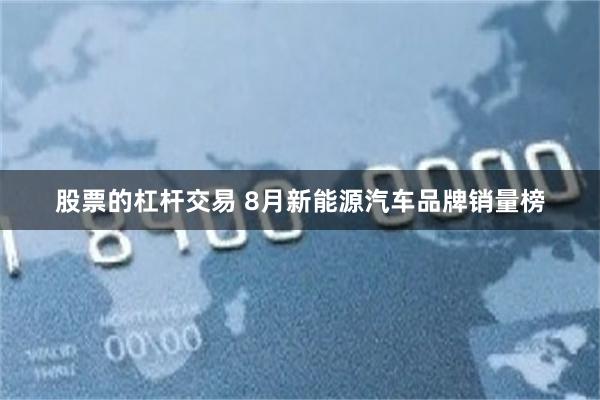 股票的杠杆交易 8月新能源汽车品牌销量榜
