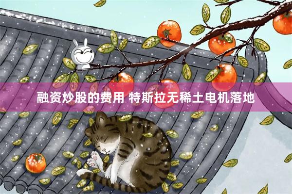 融资炒股的费用 特斯拉无稀土电机落地