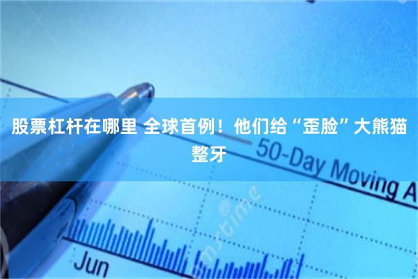 股票杠杆在哪里 全球首例！他们给“歪脸”大熊猫整牙