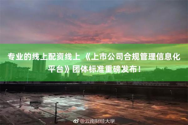 专业的线上配资线上 《上市公司合规管理信息化平台》团体标准重磅发布！