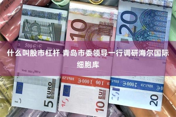 什么叫股市杠杆 青岛市委领导一行调研海尔国际细胞库