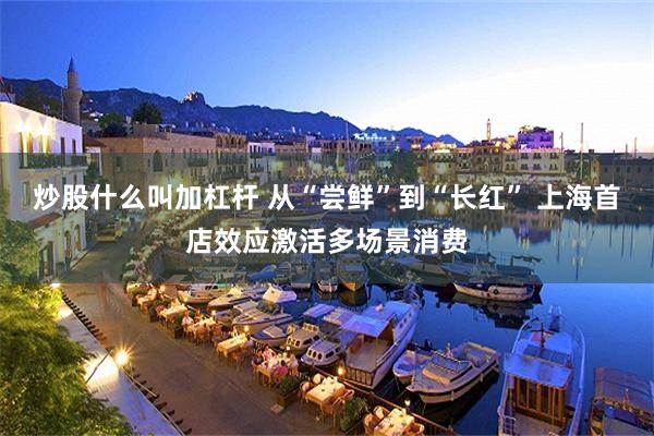 炒股什么叫加杠杆 从“尝鲜”到“长红” 上海首店效应激活多场景消费