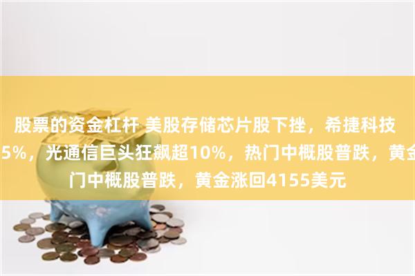 股票的资金杠杆 美股存储芯片股下挫，希捷科技 西部数据大跌超5%，光通信巨头狂飙超10%，热门中概股普跌，黄金涨回4155美元