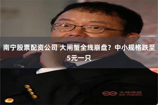 南宁股票配资公司 大闸蟹全线崩盘?中小规格跌至5元一只