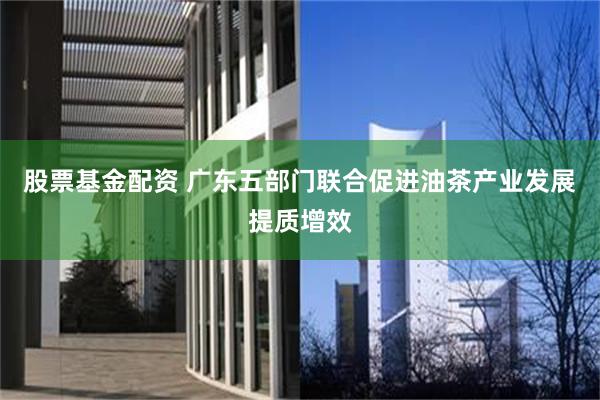 股票基金配资 广东五部门联合促进油茶产业发展提质增效
