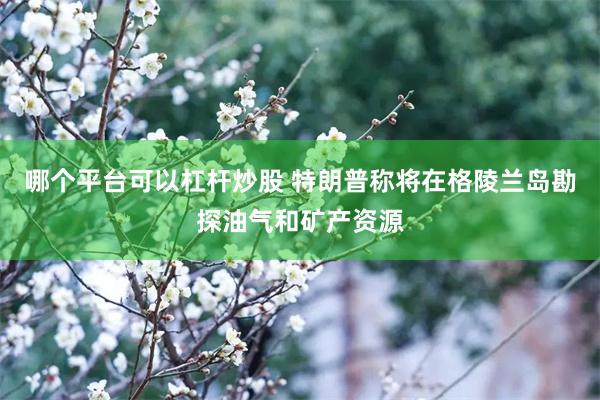 哪个平台可以杠杆炒股 特朗普称将在格陵兰岛勘探油气和矿产资源