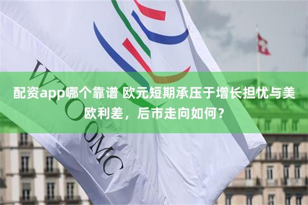 配资app哪个靠谱 欧元短期承压于增长担忧与美欧利差，后市走向如何？